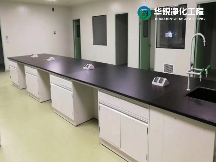 主實驗室與輔助實驗室的主要區(qū)別